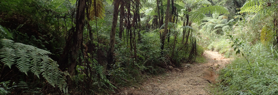 As the host of this year’s UN climate treaty negotiations and home to most of the Amazon tropical rainforest, Brazil led a major advance for forests and their indigenous inhabitants called the Tropical Forest Forever Facility. The new $125 billion fund, with guarantees for investors, will send its profits to countries with documented forest preservation, including some cash going directly to indigenous and local populations.