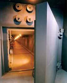 Bunker door